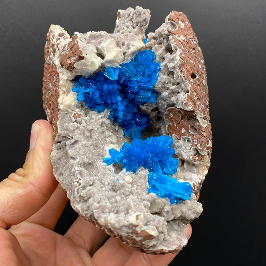 Cavansite Deep Blue in geode Natural Mineral Specimen # DK186