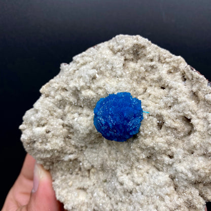 Cavansite Deep Blue on Heulandite Matrix Natural Mineral Specimen # DK183