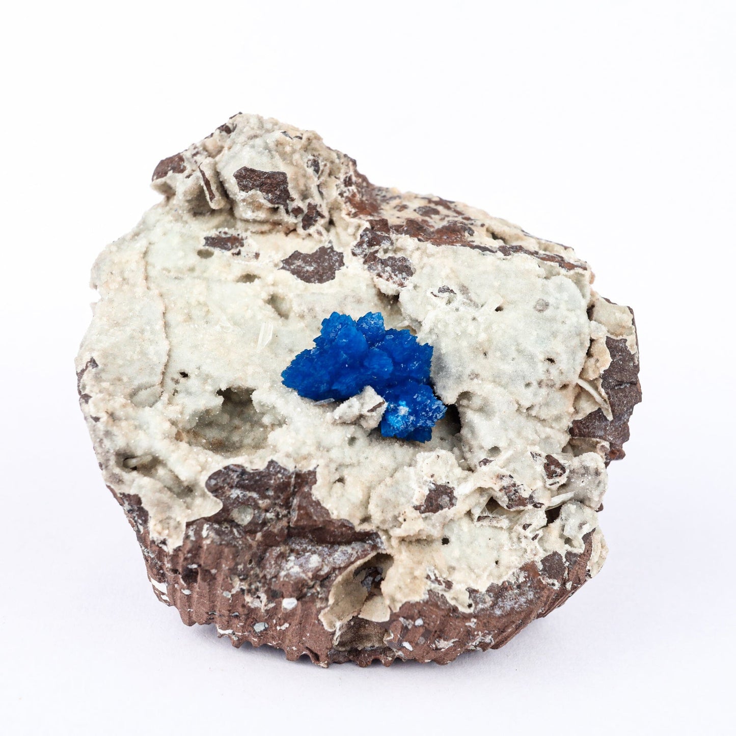 Cavansite on Heulandite (Rare Find) Natural Mineral Specimen # B 6479