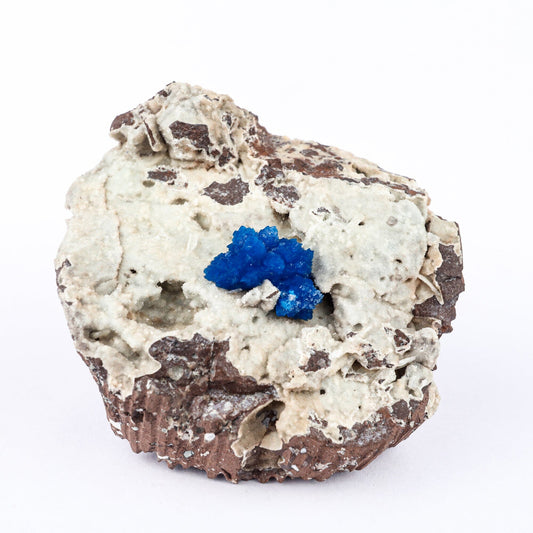 Cavansite on Heulandite (Rare Find) Natural Mineral Specimen # B 6479