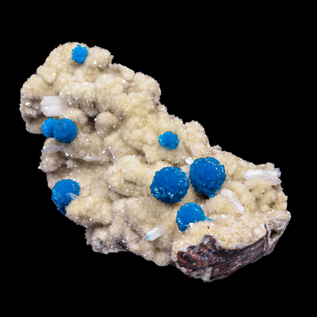 Cavansite on Heulandite (Rare Find) Natural Mineral Specimen # B 6909 (usa)
