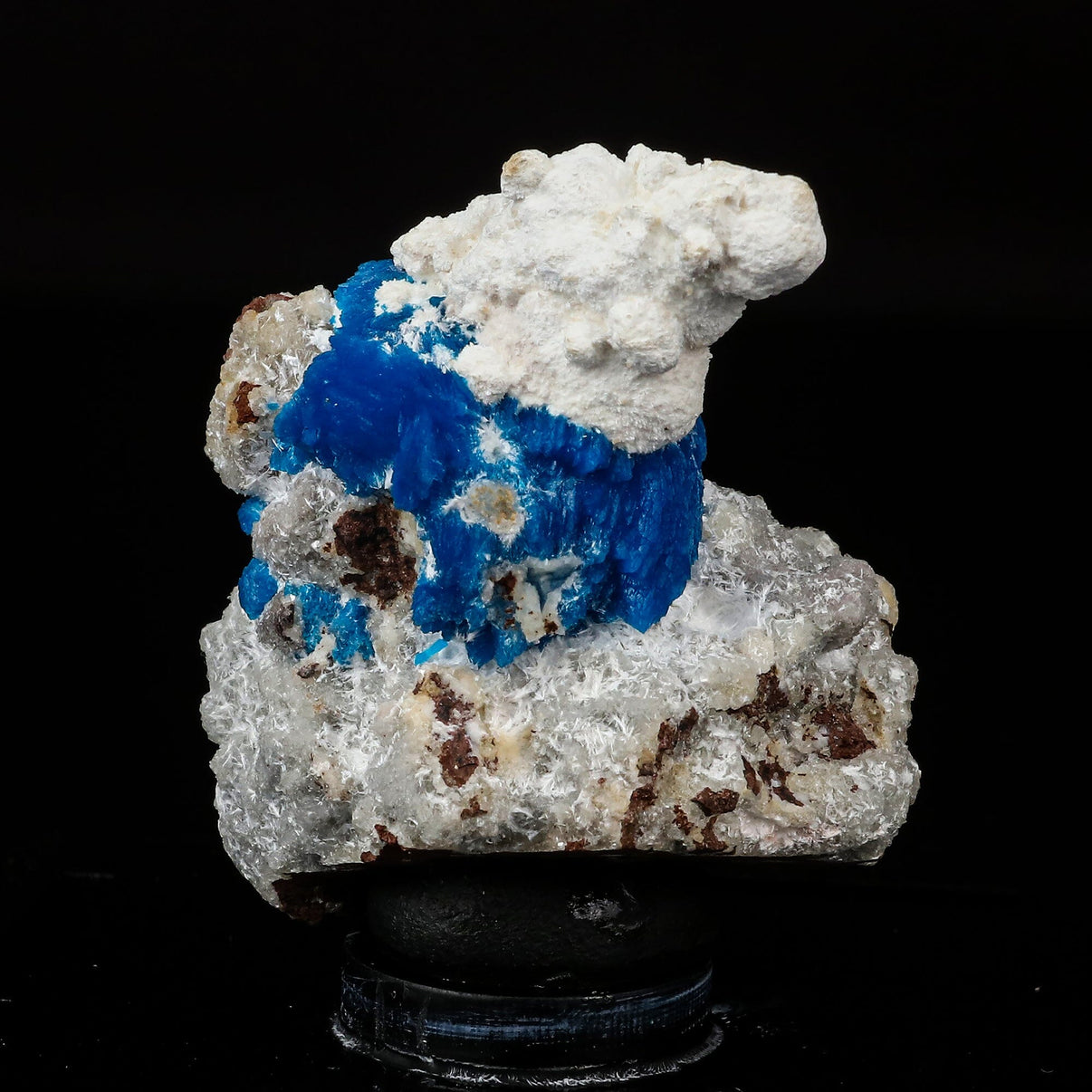 Cavansite on Modernite (Rare Find) Natural Mineral Specimen # B 6707 ...