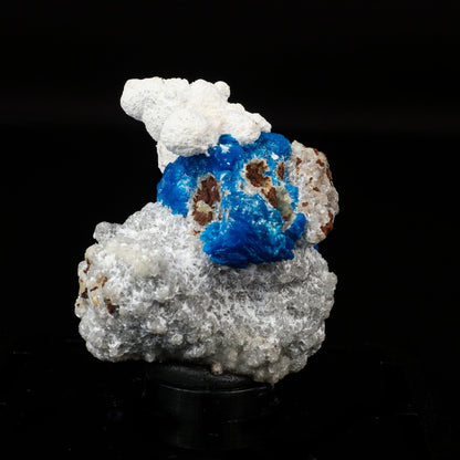 Cavansite on Modernite (Rare Find) Natural Mineral Specimen # B 6707