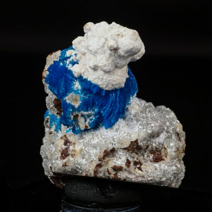 Cavansite on Modernite (Rare Find) Natural Mineral Specimen # B 6707