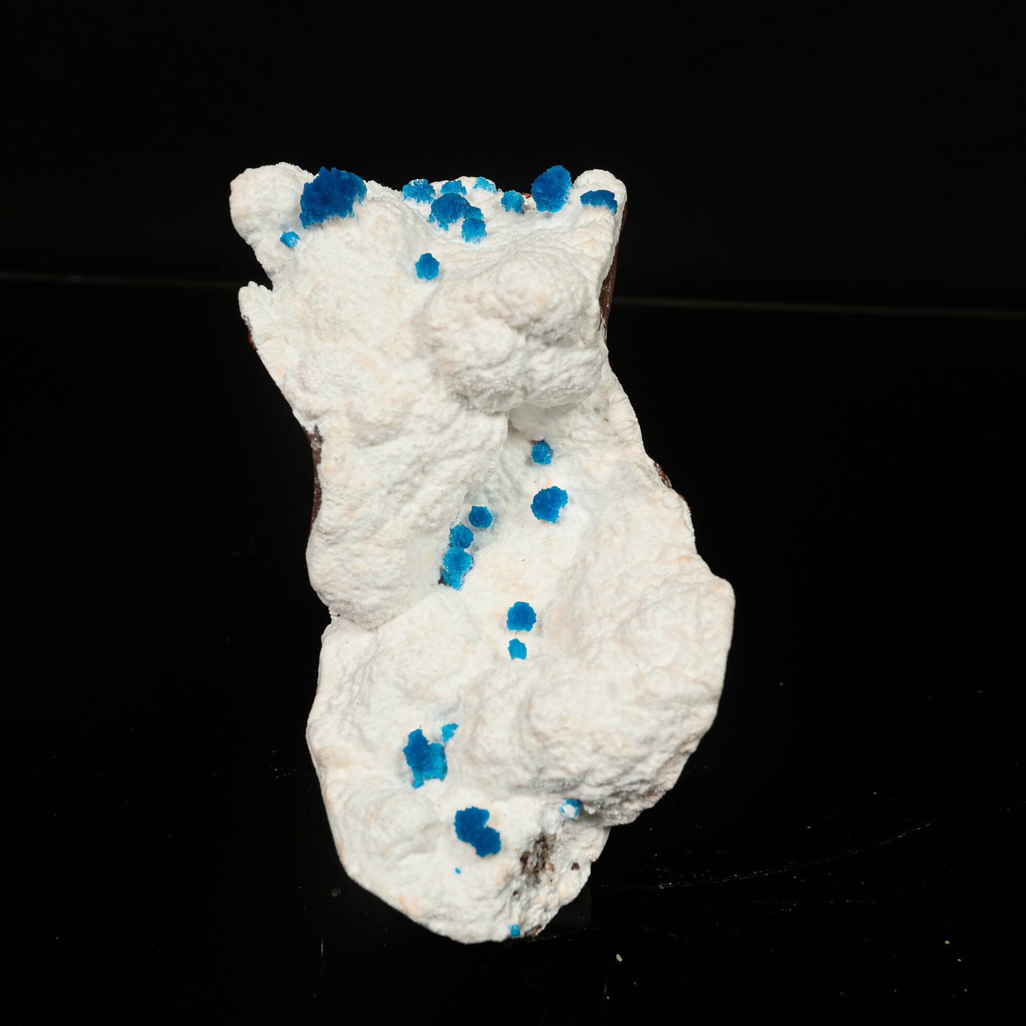 Cavansite on Modernite (Rare Find) Natural Mineral Specimen # B 6761
