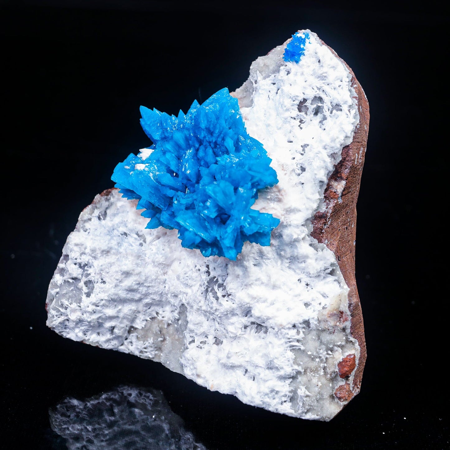Cavansite on Mordenite (Rare Find) Natural Mineral Specimen, Default Title at Stemcell Science Shop