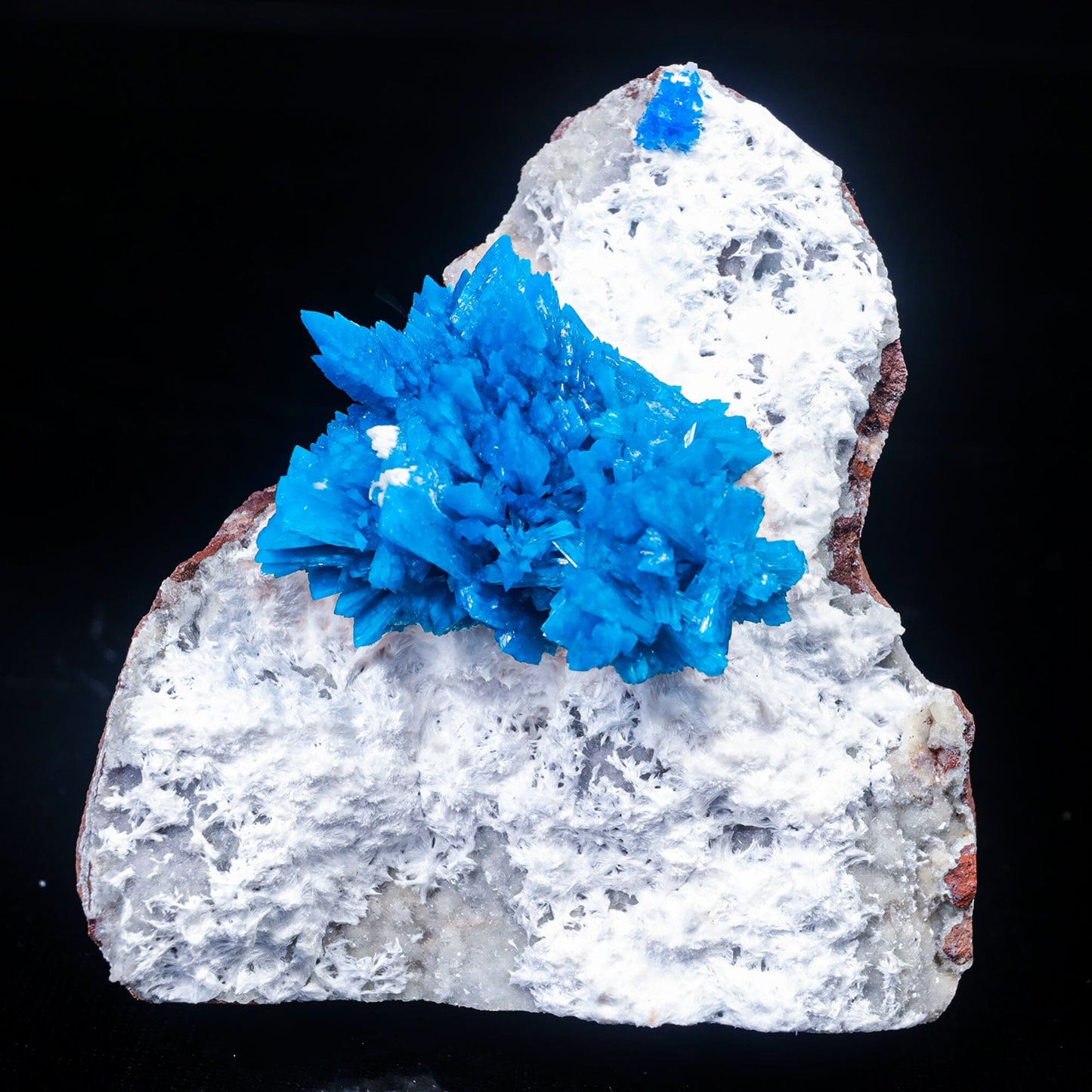 Cavansite on Mordenite (Rare Find) Natural Mineral Specimen, Default Title at Stemcell Science Shop