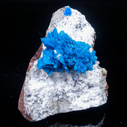 Cavansite on Mordenite (Rare Find) Natural Mineral Specimen, Default Title at Stemcell Science Shop
