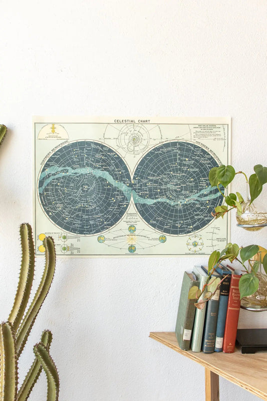 Celestial Chart Charts Stemcell Science Shop