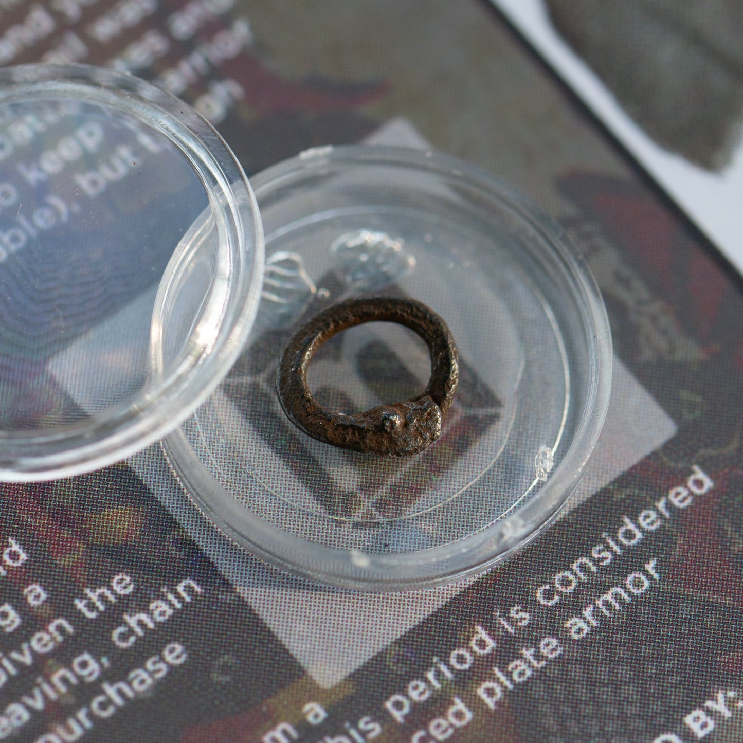 Medieval Chain Mail Ring - Display Card