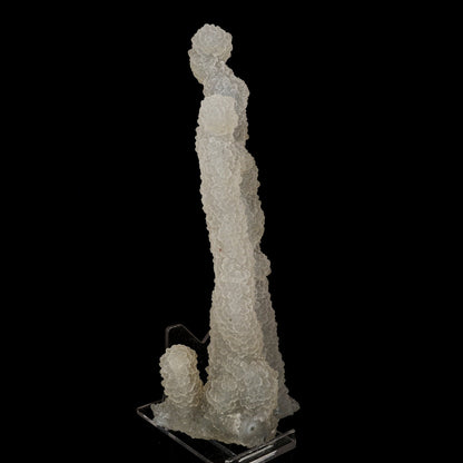 Chalcedony Coral Natural Mineral Specimen # B 6174