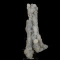 Chalcedony Coral Natural Mineral Specimen # B 6179