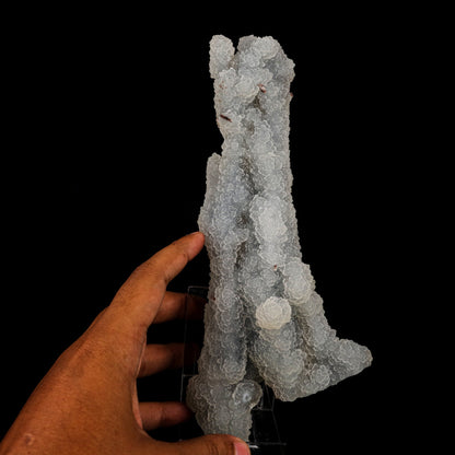 Chalcedony Coral Natural Mineral Specimen # B 6179