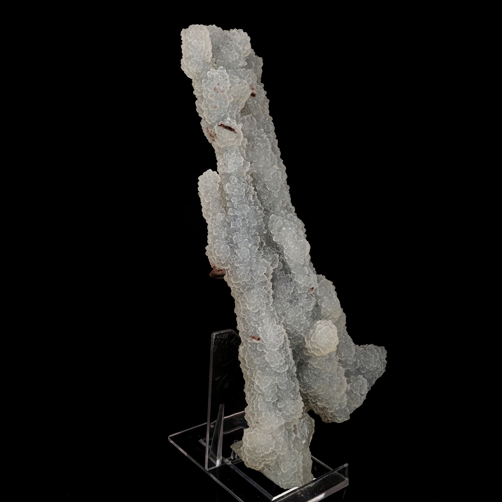 Chalcedony Coral Natural Mineral Specimen # B 6179