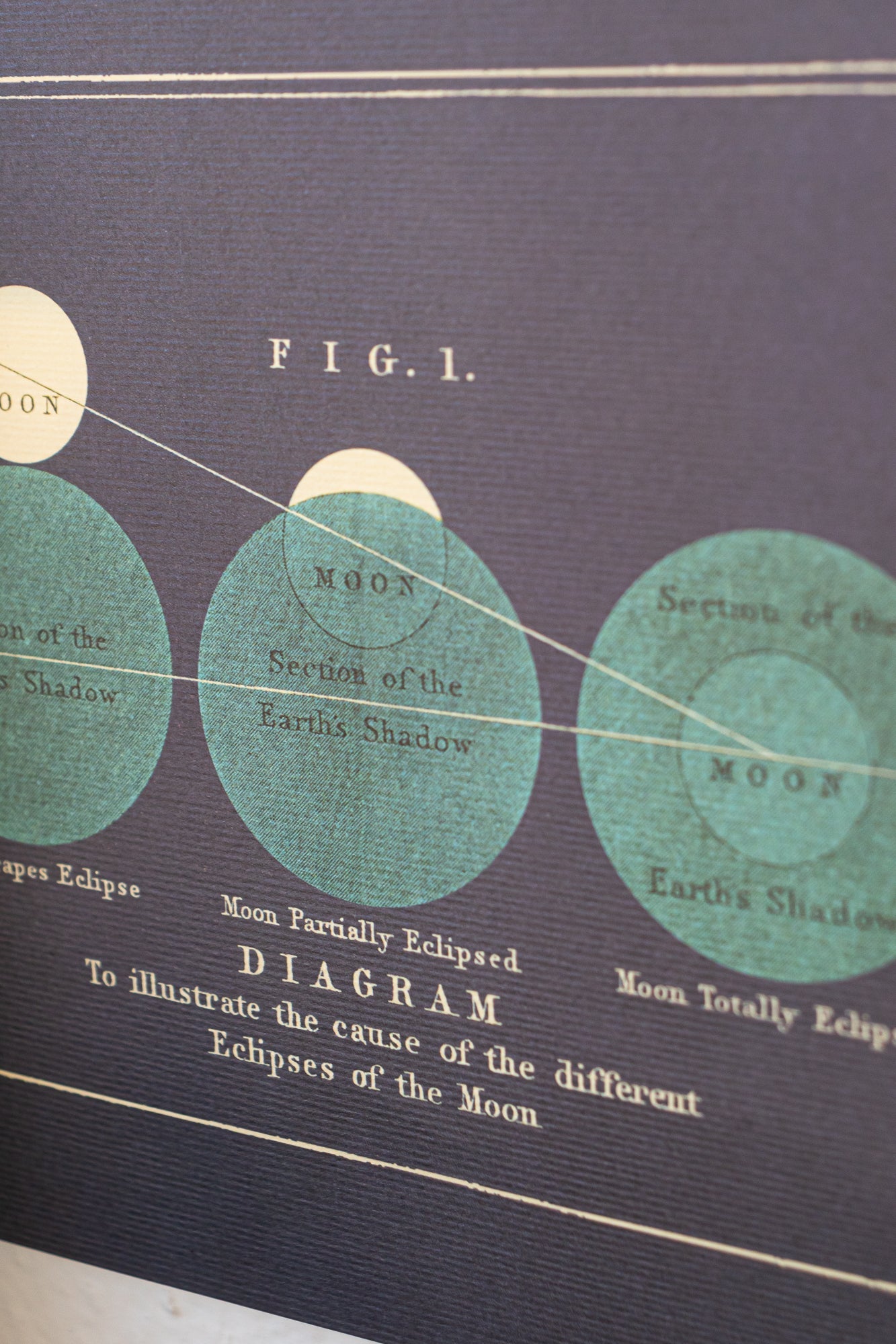 Chart of the Moon Charts Stemcell Science Shop