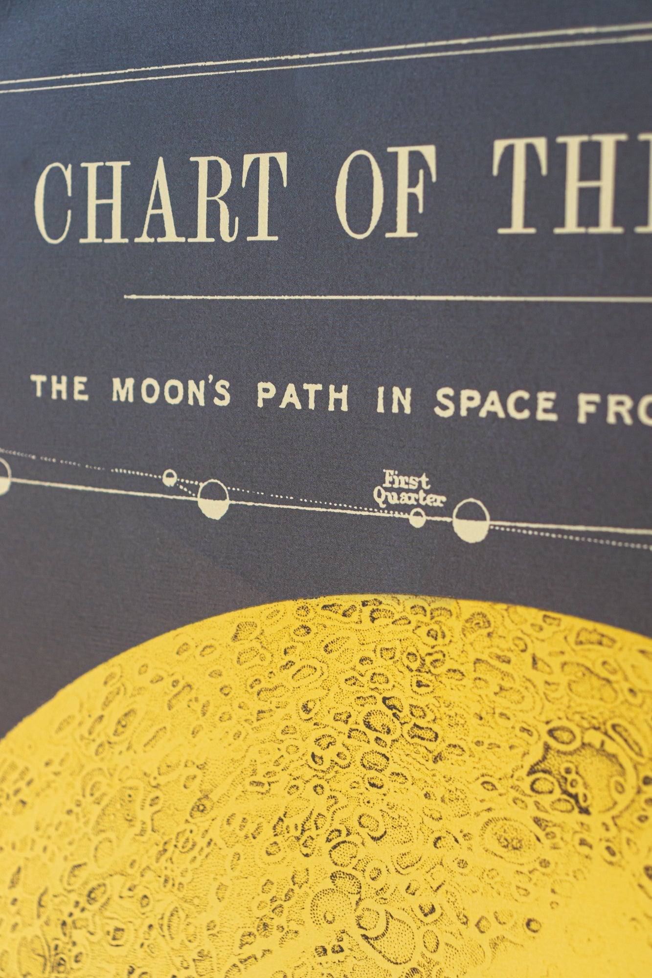 Chart of the Moon Charts Stemcell Science Shop