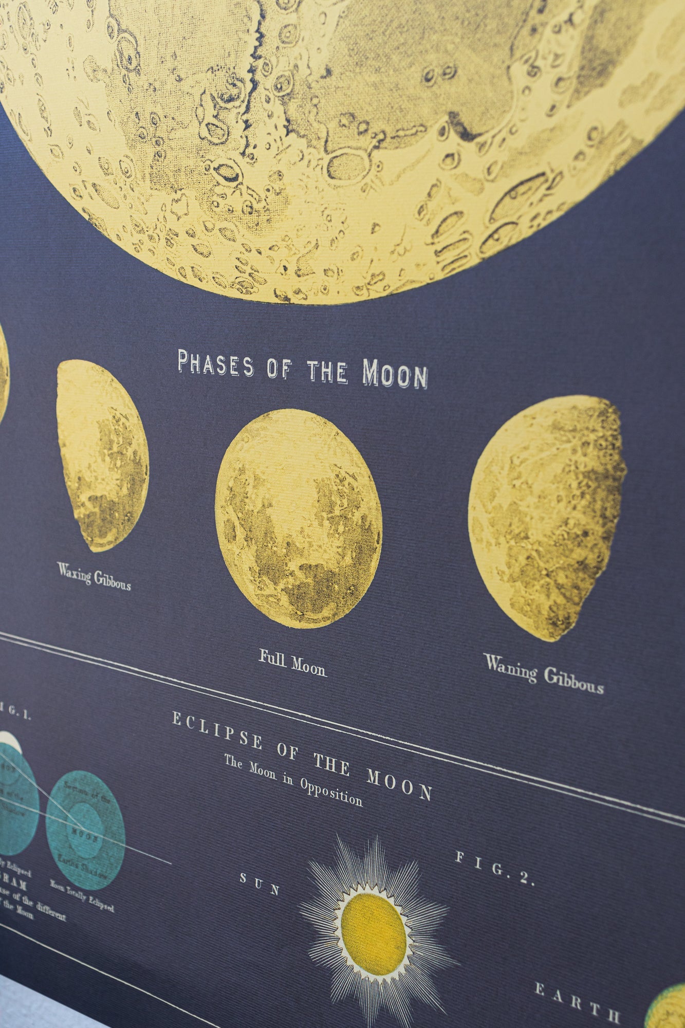 Chart of the Moon Charts Stemcell Science Shop