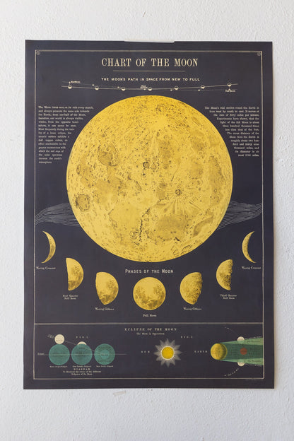 Chart of the Moon Charts Stemcell Science Shop