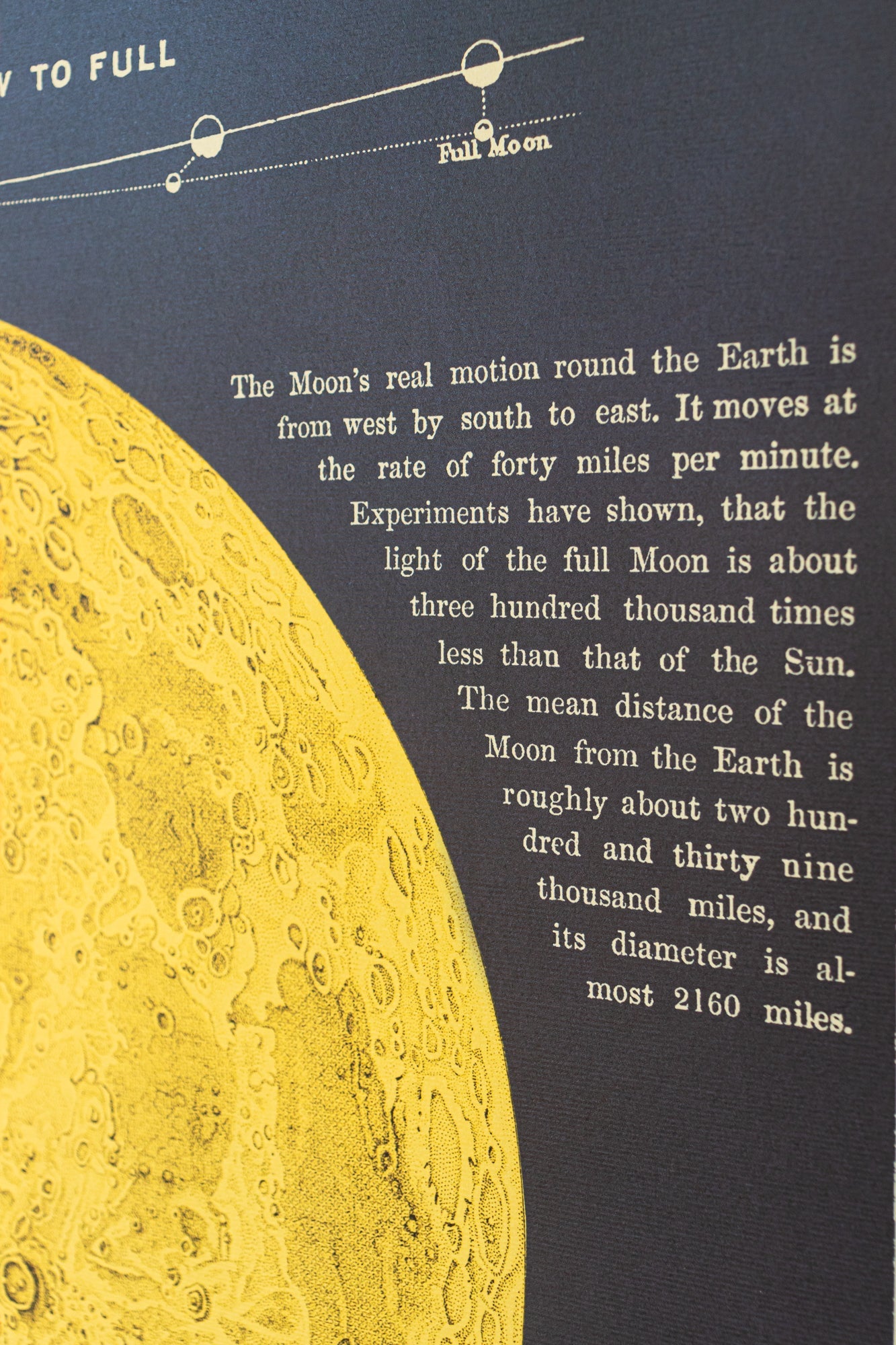 Chart of the Moon Charts Stemcell Science Shop