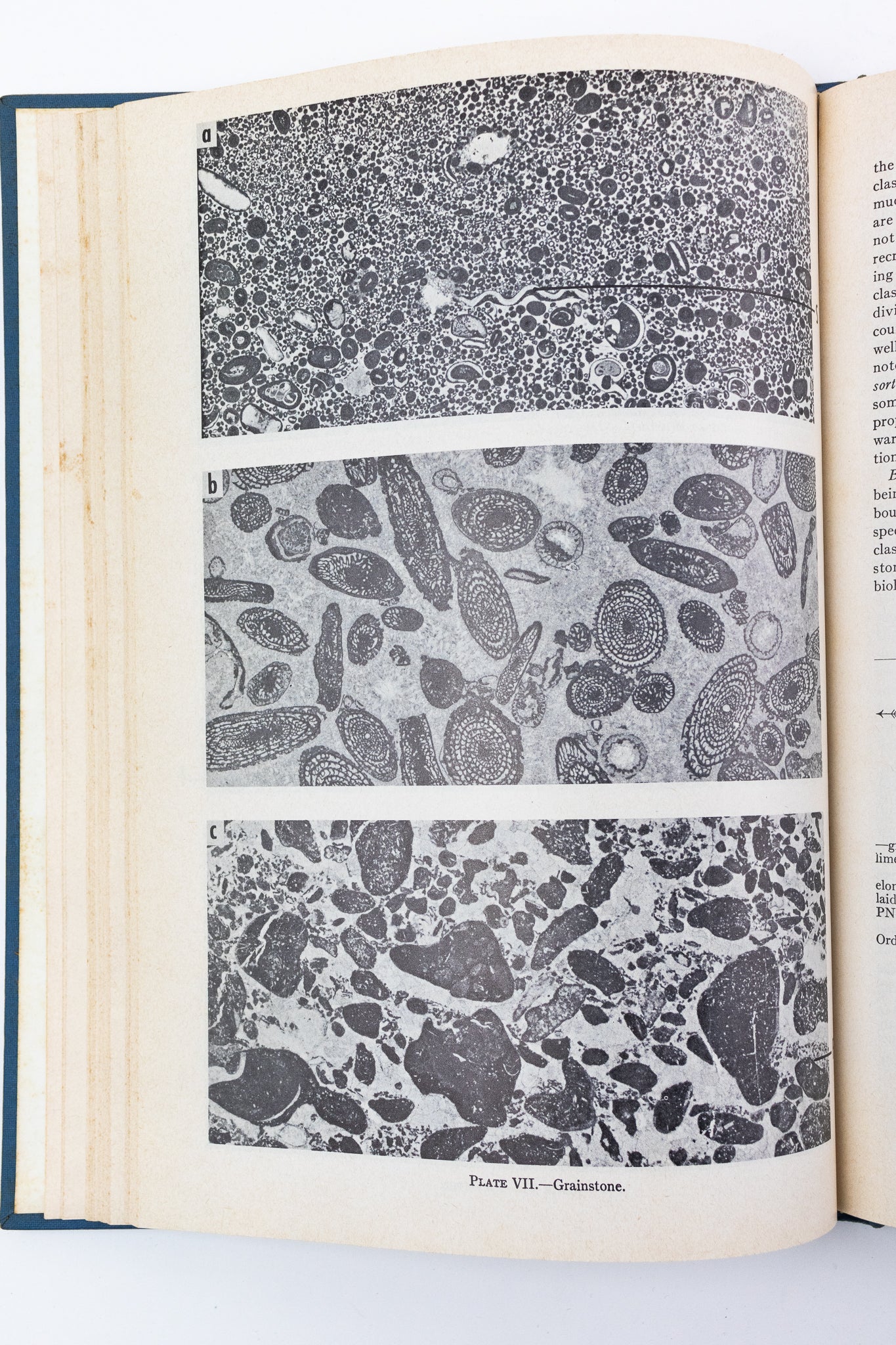 Classification of Carbonate Rocks; a Symposium Books Stemcell Science Shop