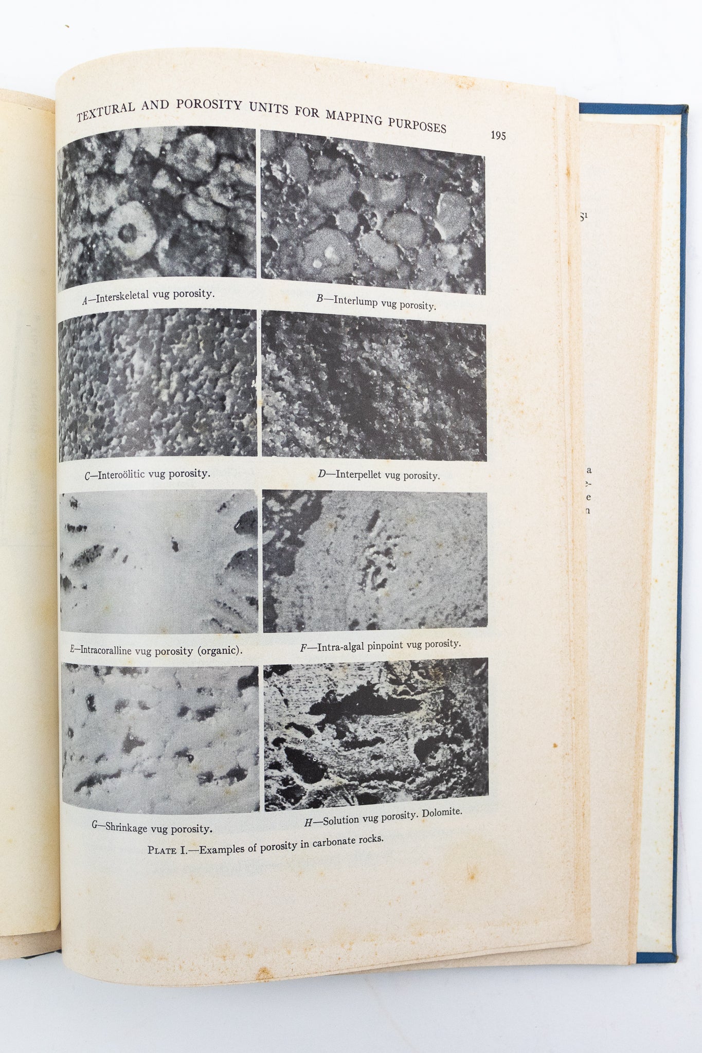 Classification of Carbonate Rocks; a Symposium Books Stemcell Science Shop