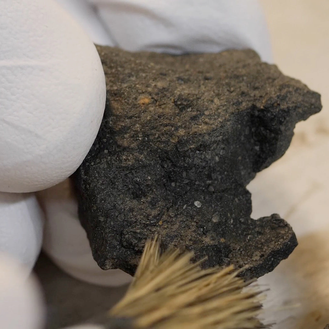 Extraterrestrial Amino Acids - CM2 Carbonaceous Chondrites