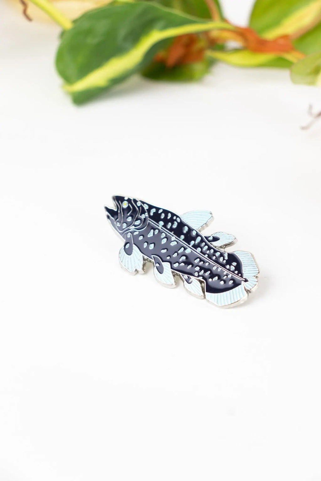 Coelacanth Enamel Pin (Coelacanthiformes), Default Title at Stemcell Science Shop