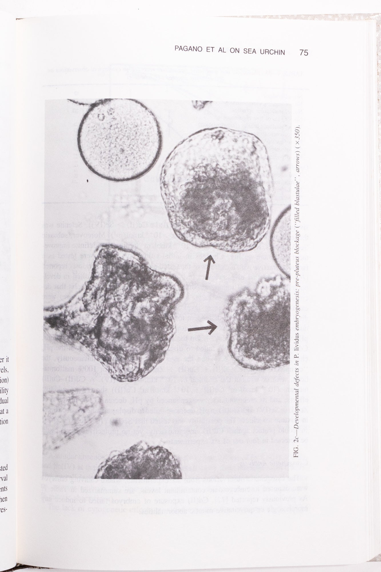 Community Toxicity Testing Books Stemcell Science Shop