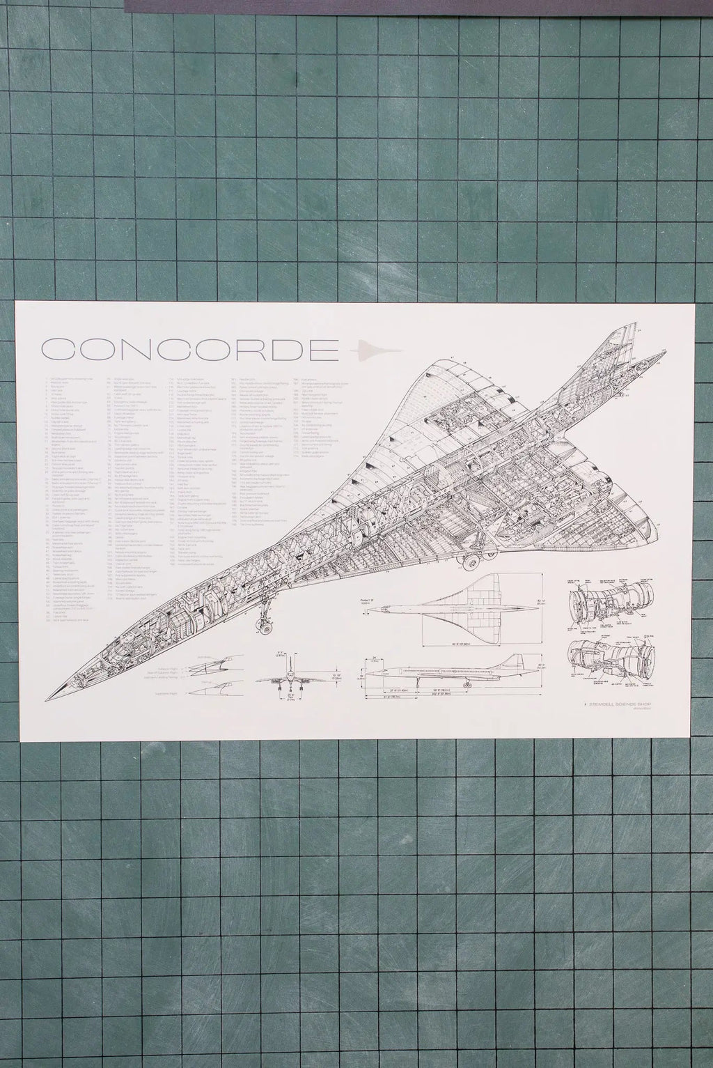 Concorde Supersonic Airliner Schematic Chart, Default Title at Stemcell Science Shop