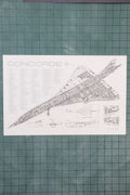 Concorde Supersonic Airliner Schematic Chart, Default Title at Stemcell Science Shop
