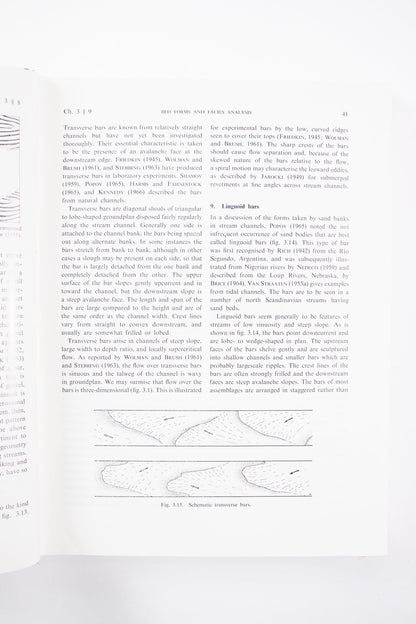 Current Ripples Their Relation to Patterns of Water and Sediment Motion - Books from Stemcell Science Shop