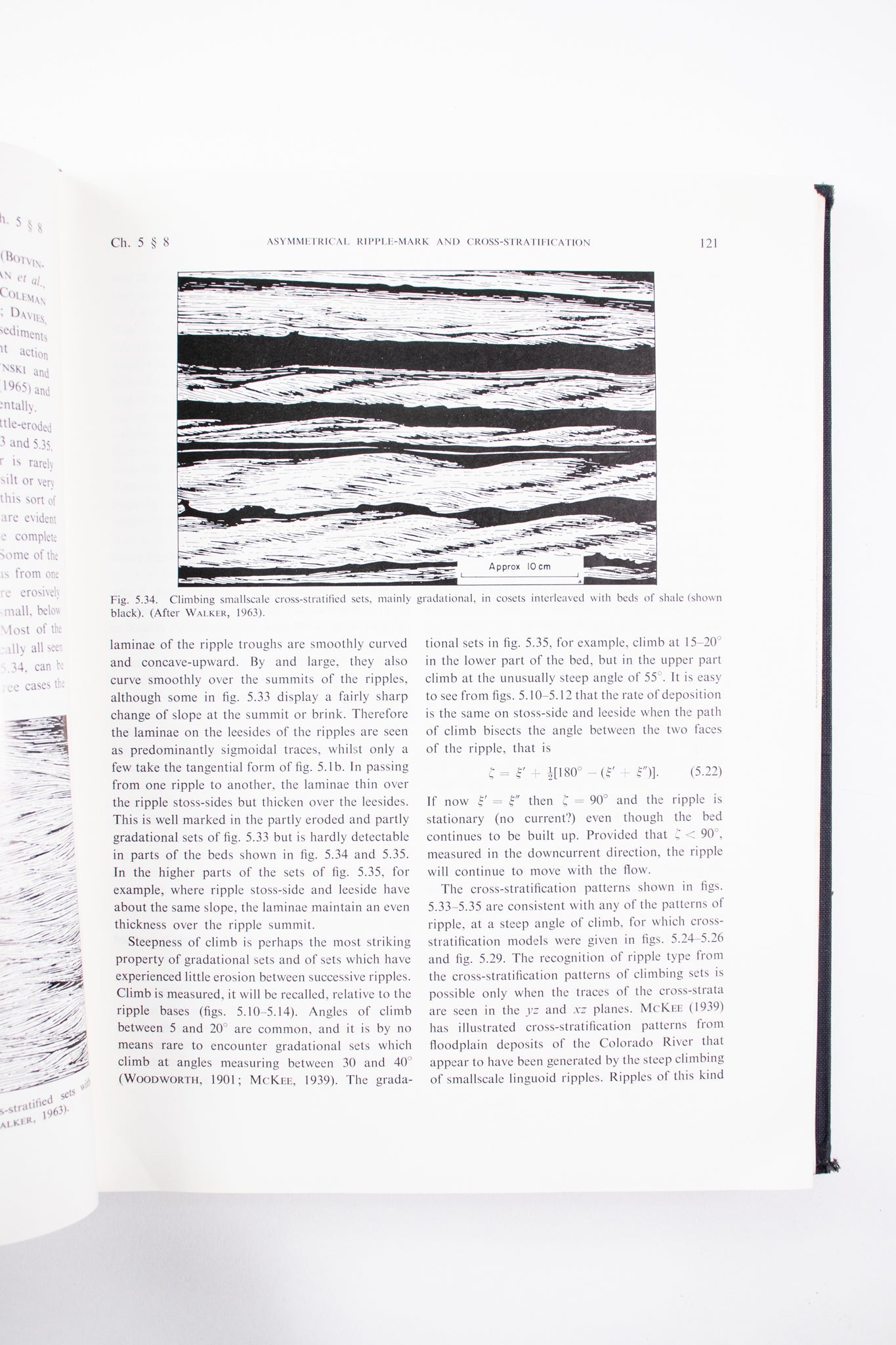 Current Ripples Their Relation to Patterns of Water and Sediment Motion - Books from Stemcell Science Shop