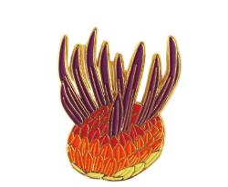 Wiwaxia Enamel Pin (Wiwaxia corrugata) - Stemcell Science Shop