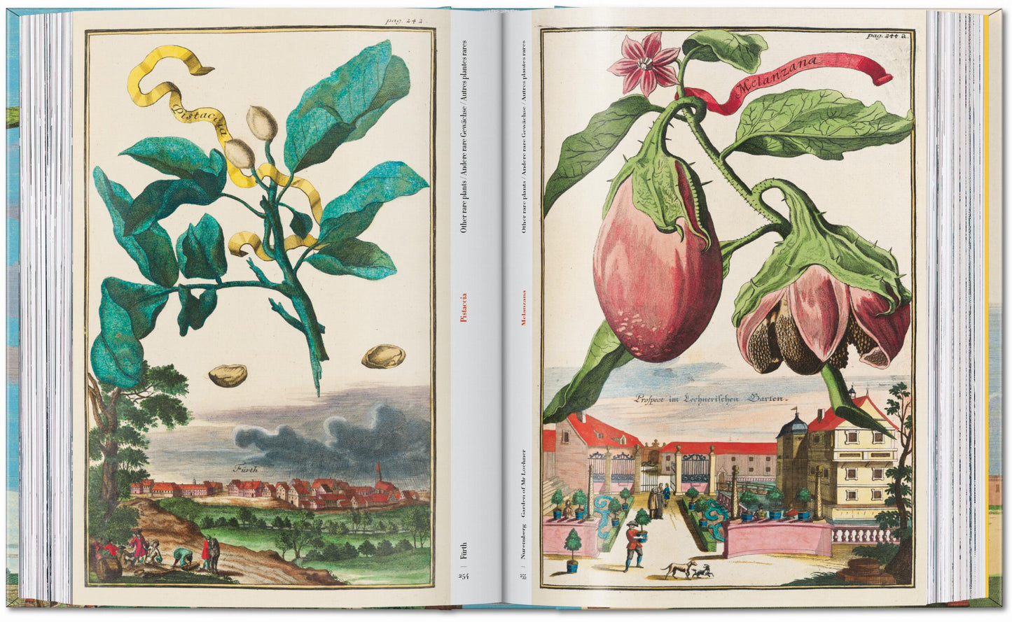 J. C. Volkamer. The Book of Citrus Fruits. 45th Ed. (German, French, English)
