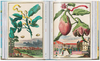 J. C. Volkamer. The Book of Citrus Fruits. 45th Ed. (German, French, English)