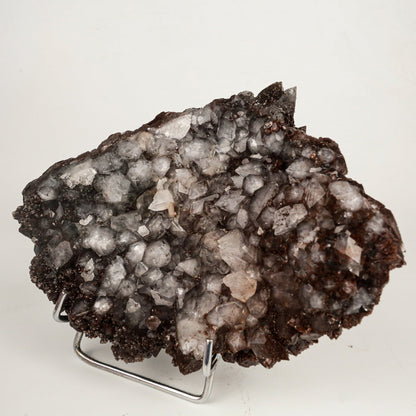 Dark Chocolate Marshy Apophyllite Free Standing dual Side Natural Mineral Specimen # B 6446