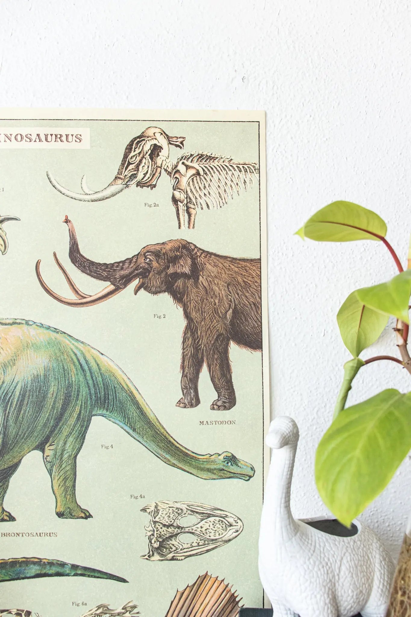 Dinosaurs Scientific Chart Charts Stemcell Science Shop