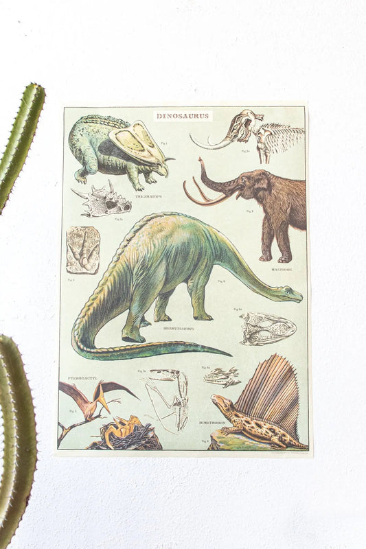 Dinosaurs Scientific Chart Charts Stemcell Science Shop