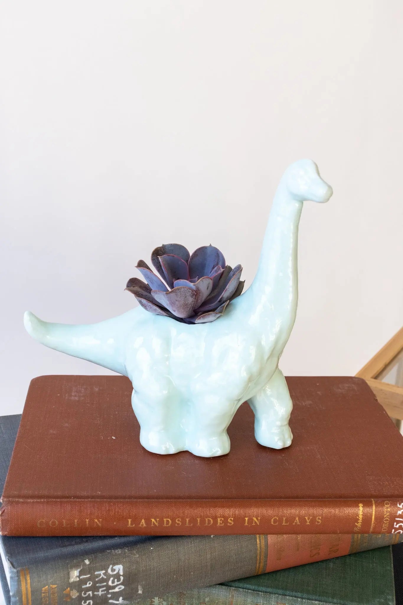 Diplodocus Dinosaur Planter - Light Blue Household Stemcell Science Shop