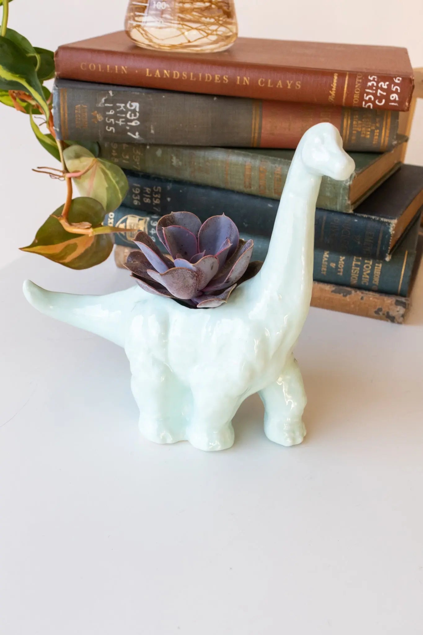 Diplodocus Dinosaur Planter - Light Blue Household Stemcell Science Shop