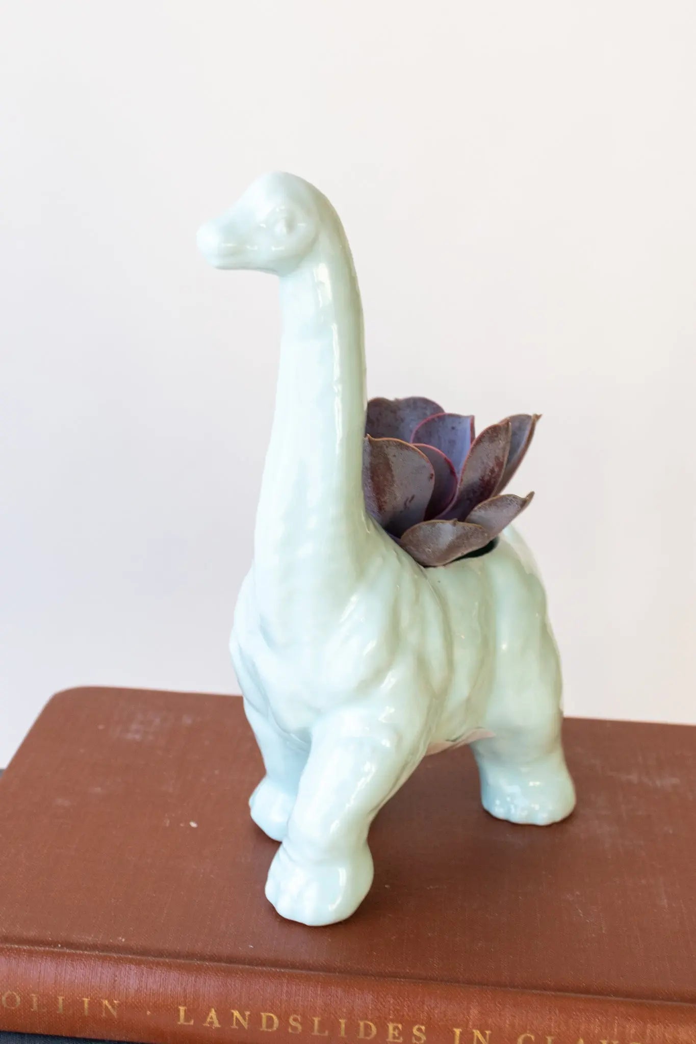 Diplodocus Dinosaur Planter - Light Blue Household Stemcell Science Shop