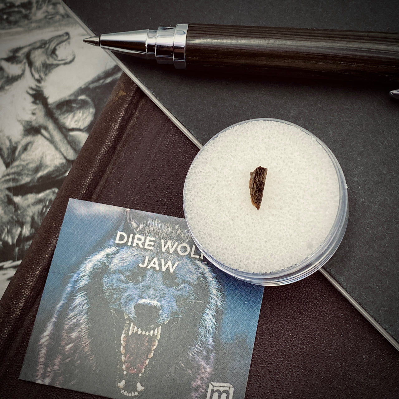 Dire Wolf Jaw Classic Riker Box