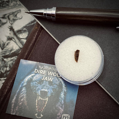 Dire Wolf Jaw Classic Riker Box