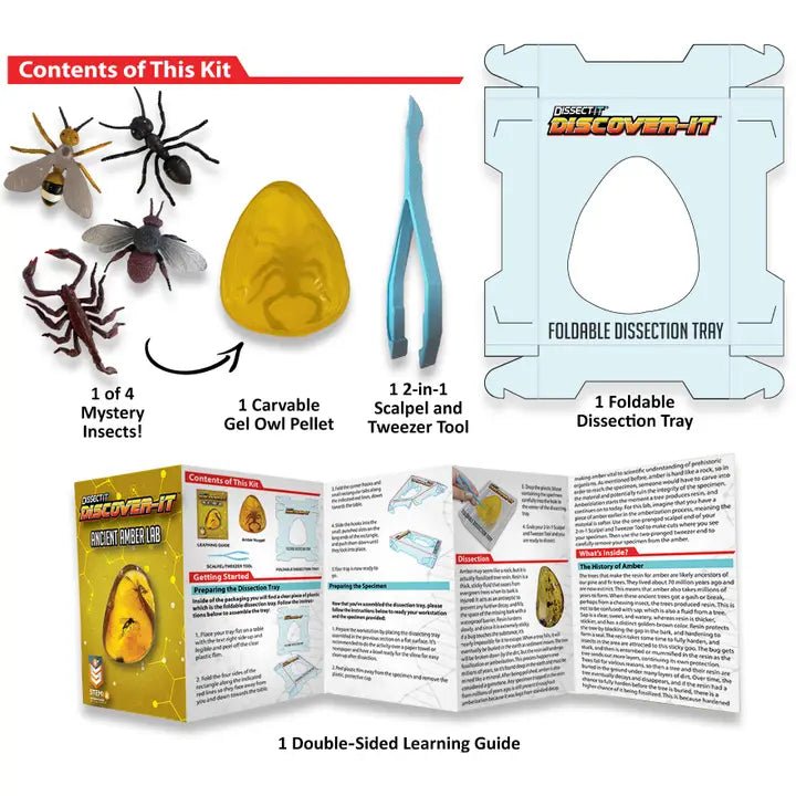 Dissect It Ancient Amber Lab Kids Stemcell Science Shop