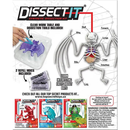 Dissect It Bat Lab Kids Stemcell Science Shop