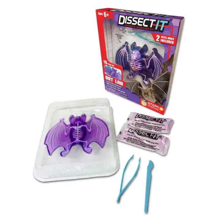 Dissect It Bat Lab Kids Stemcell Science Shop