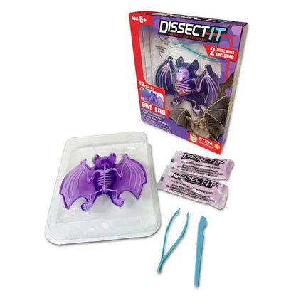 Dissect It Bat Lab Kids Stemcell Science Shop