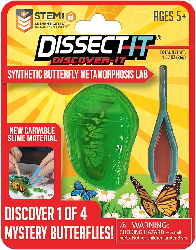 Dissect It Butterfly Metamorphosis Lab Kids Stemcell Science Shop