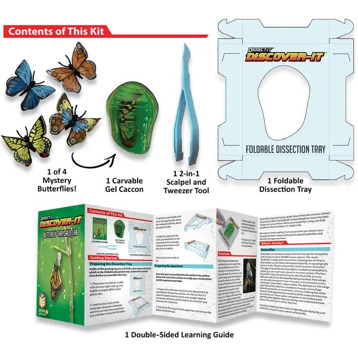 Dissect It Butterfly Metamorphosis Lab Kids Stemcell Science Shop