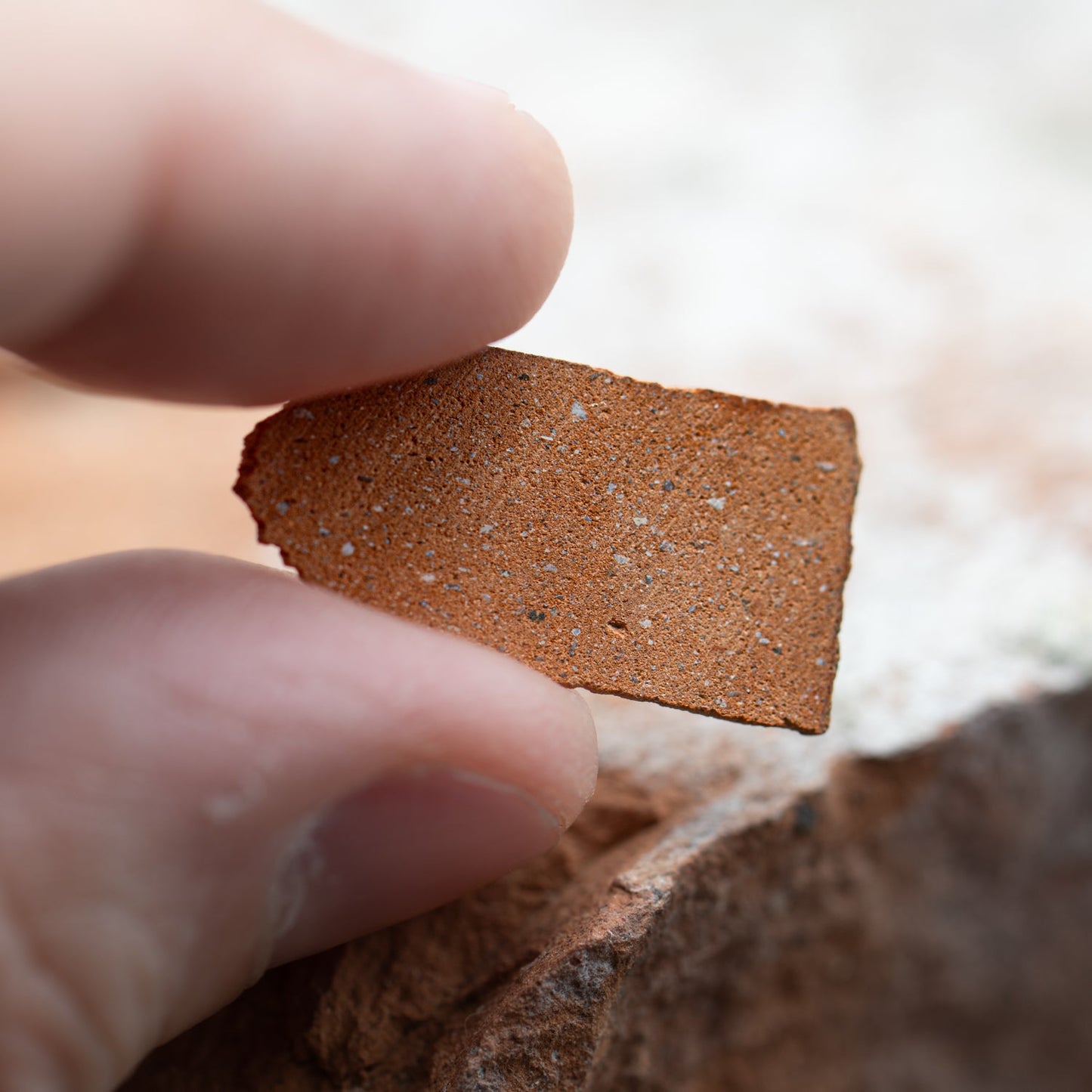 Dracula Castle Brick 🦇